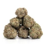 White Rhino - Image 2