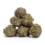 White Russian - Image 2