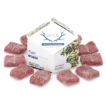 Wyld Delta 9 THC Playful Hybrid Gummies - Huckleberry - 10 Count (100 mg Delta 9 THC Total)