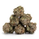 Yoda OG - Image 2