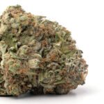Yoda OG