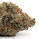 Zkittlez