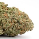 Zombie OG